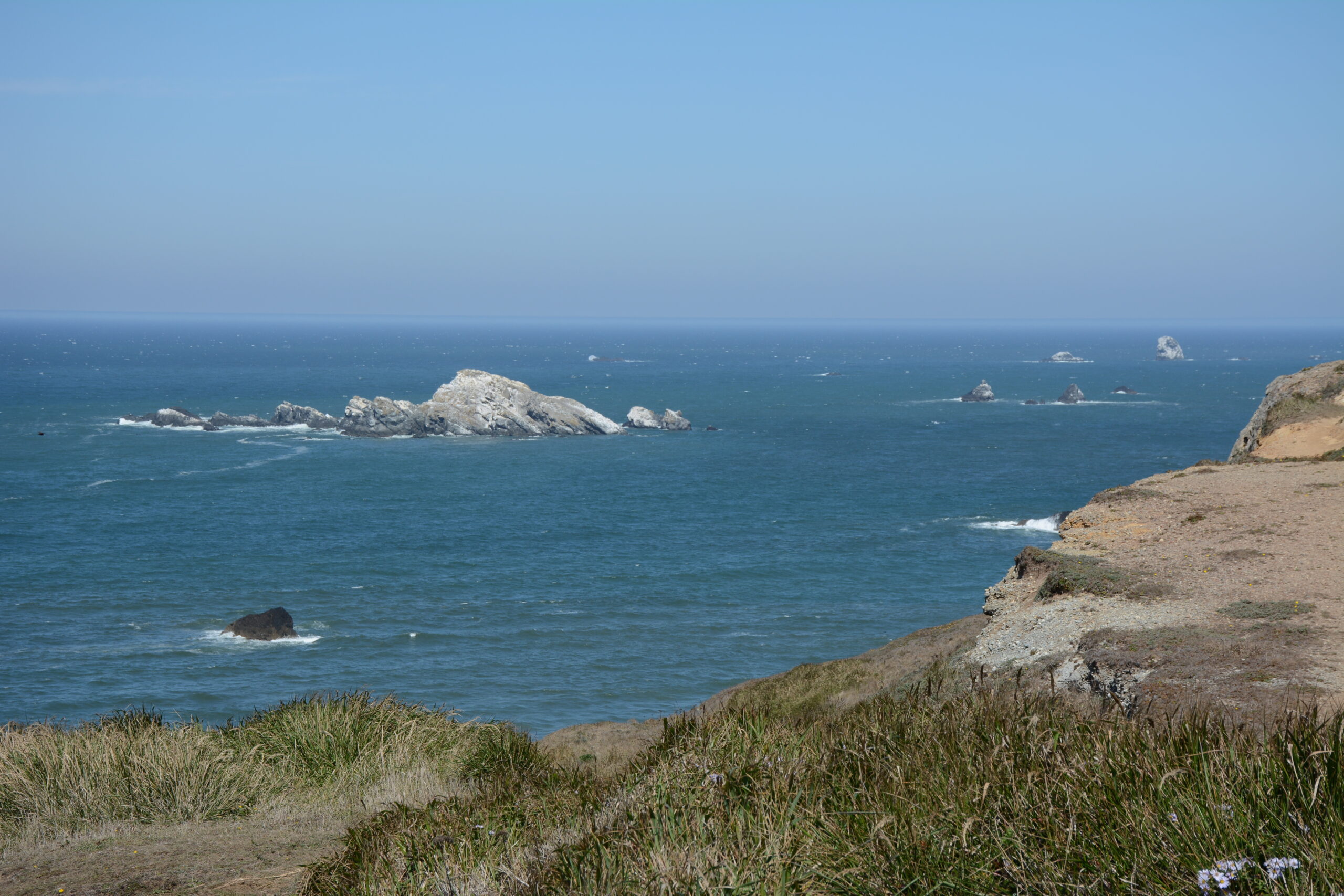 In Search of Pinot and The Legendary Rocky Coast of Oregon