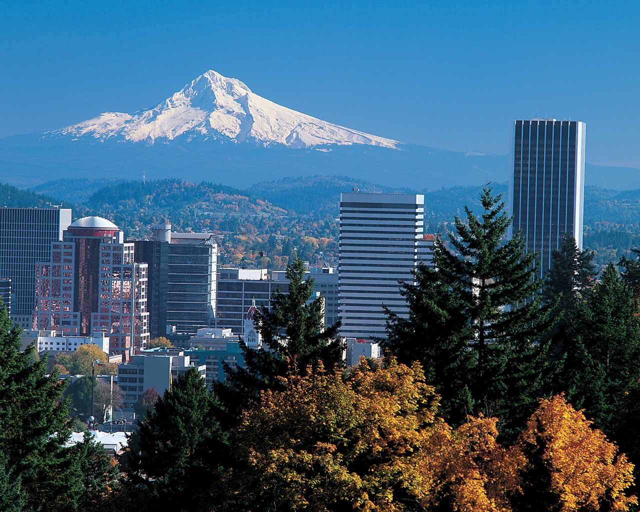 Great Wines, Great Beers and Everything Eco-Friendly in Portland, Oregon