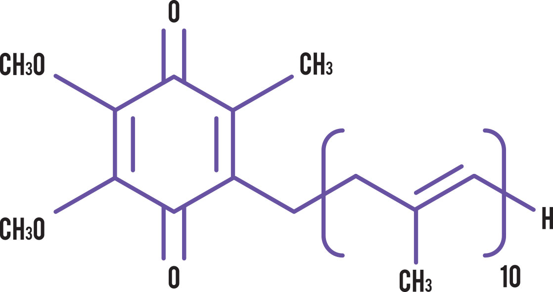 Coenzyme Q10 (CoQ10) – The Critical Full-Body Protector