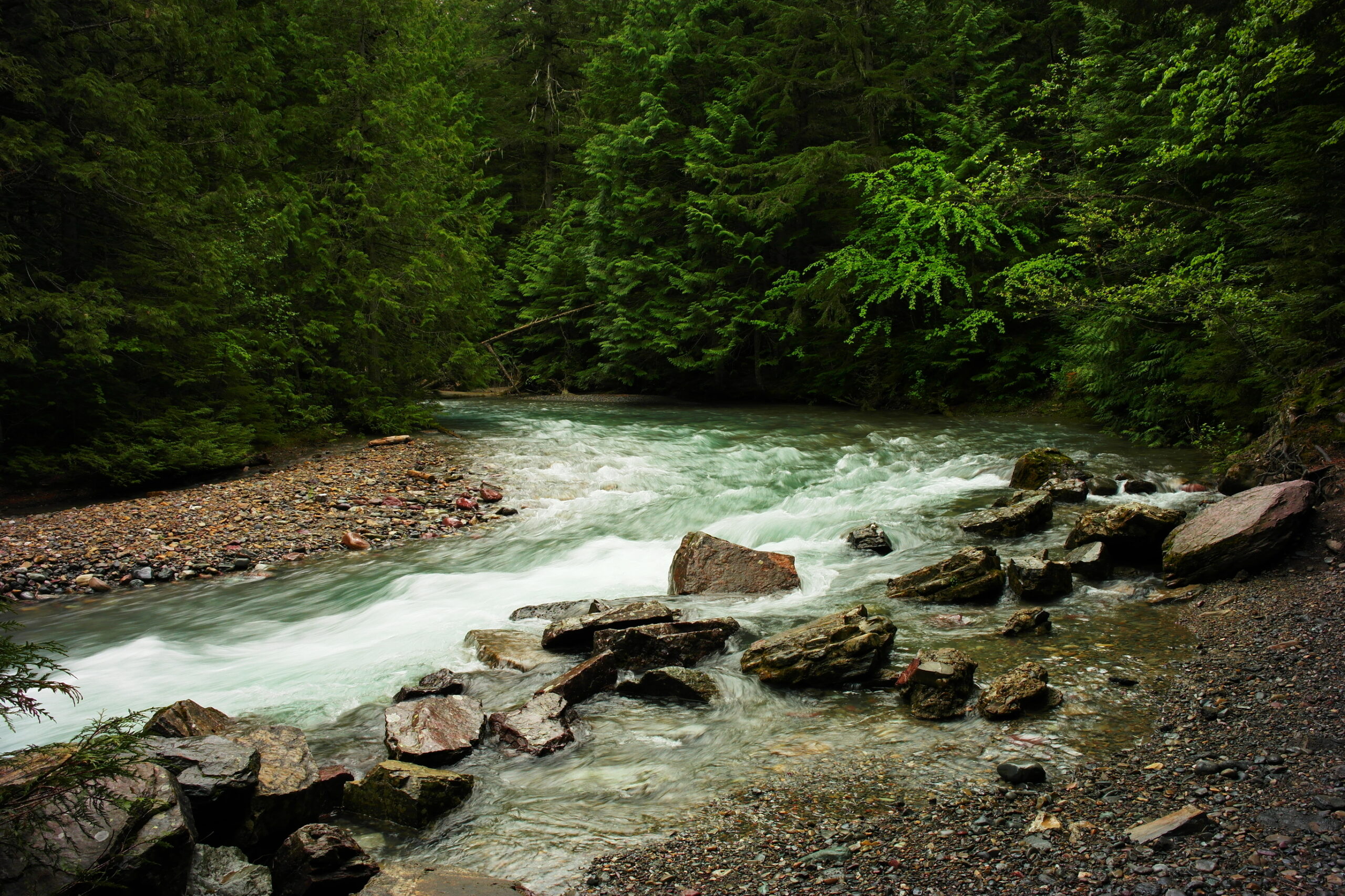 Think Green, Stay Blue:  Clean Water Starts with You! Take the River Smart Pledge!