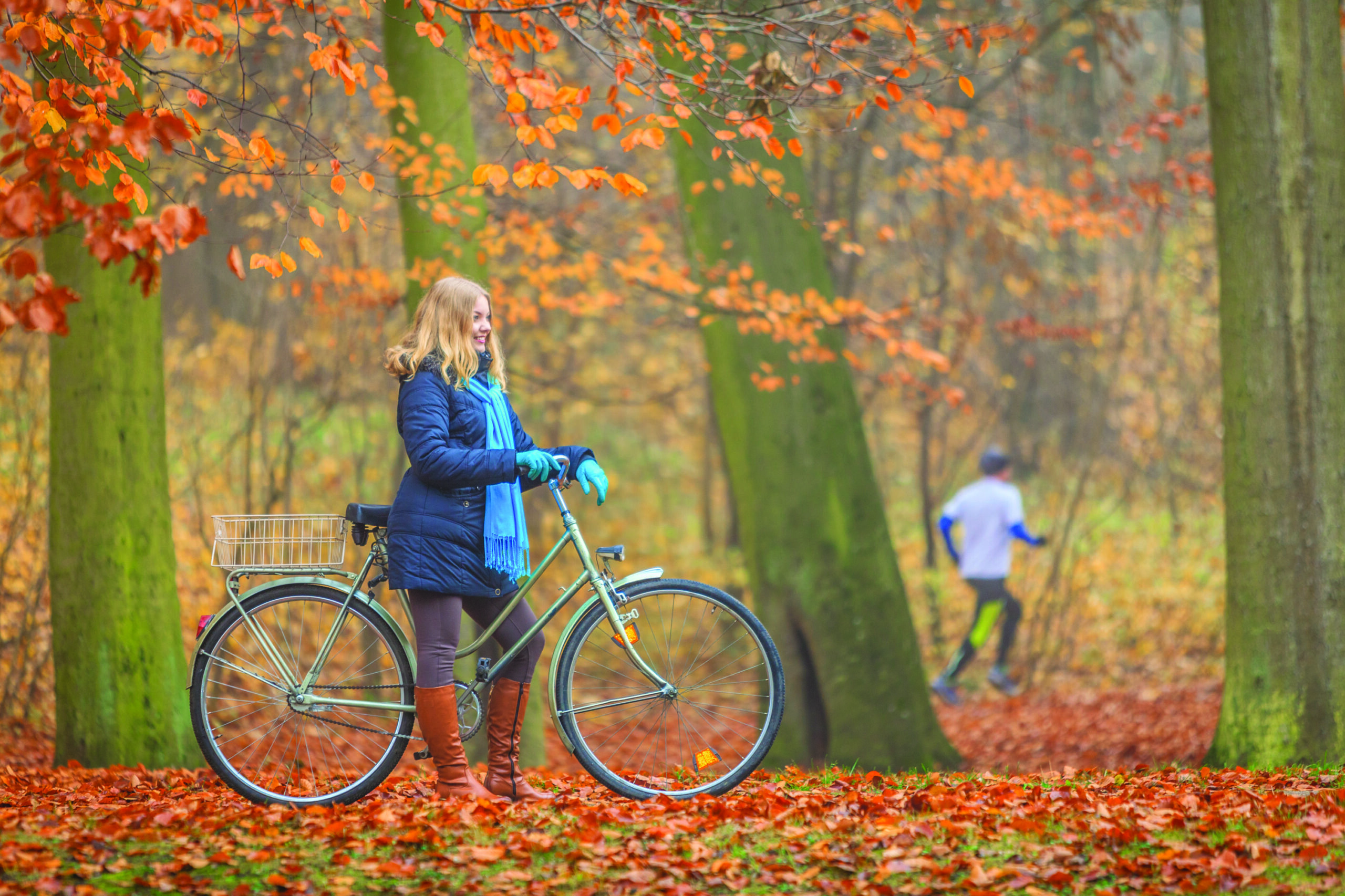 The Yin and Yang of Autumn