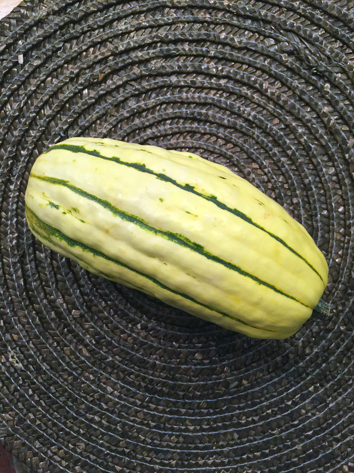 Delicata Squash