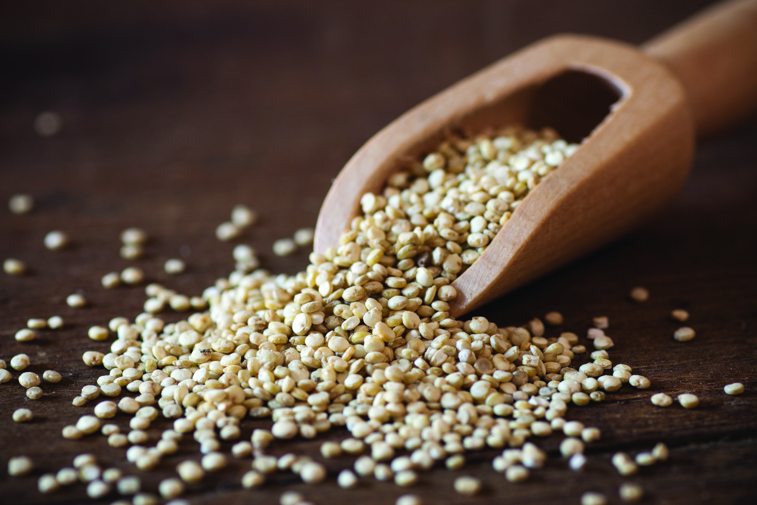 Try Quinoa for a Great Alternative to Grain