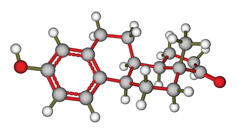 Can Your Genetics Cause Estrogen Dominance?