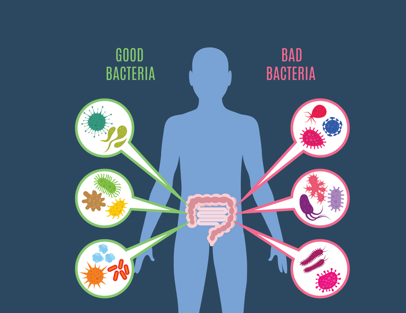 Is Inflammation Causing You to Gain Weight?