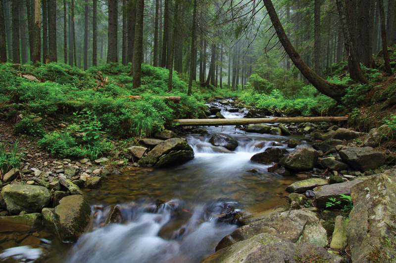 Clean Your Tap Water of Toxins and Chemicals