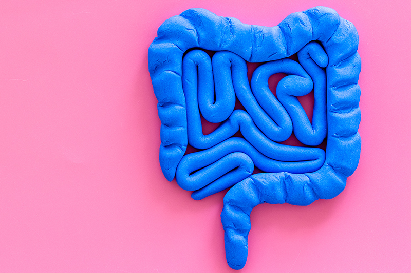 Our Gut Is Our Second Brain