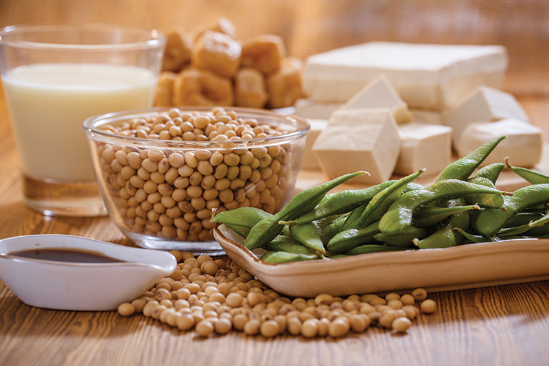 Bowl of Soy Beans