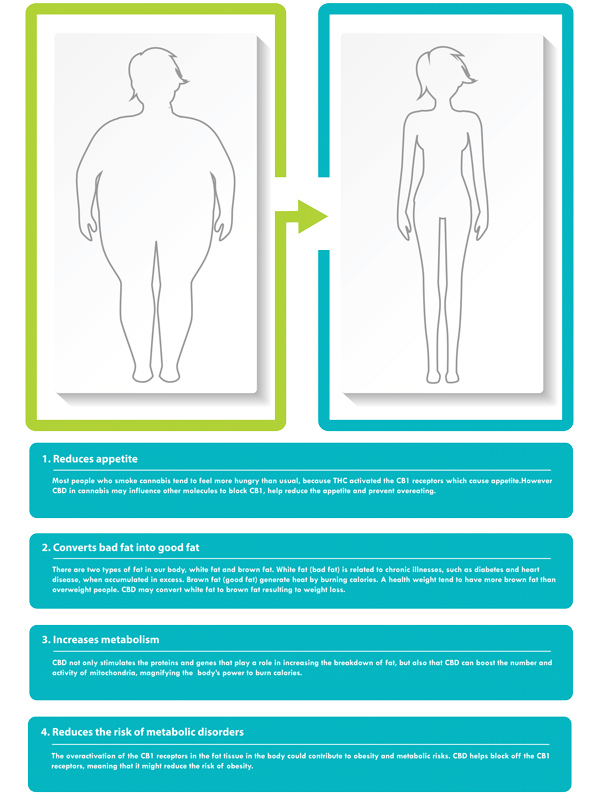 CBD and weight loss