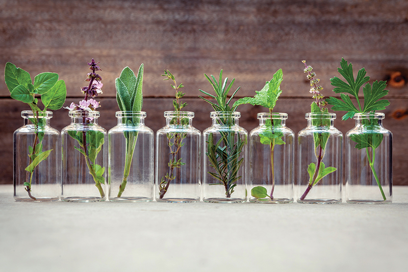 Essential Oils to Reclaim Your Healthspan