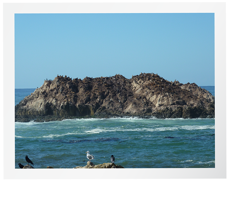 Sea Lion Rock