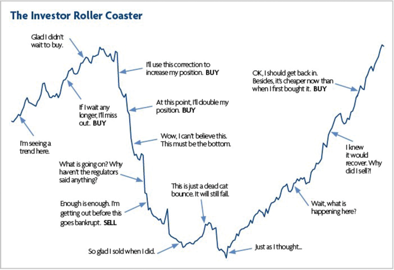 Investor Rollercoaster