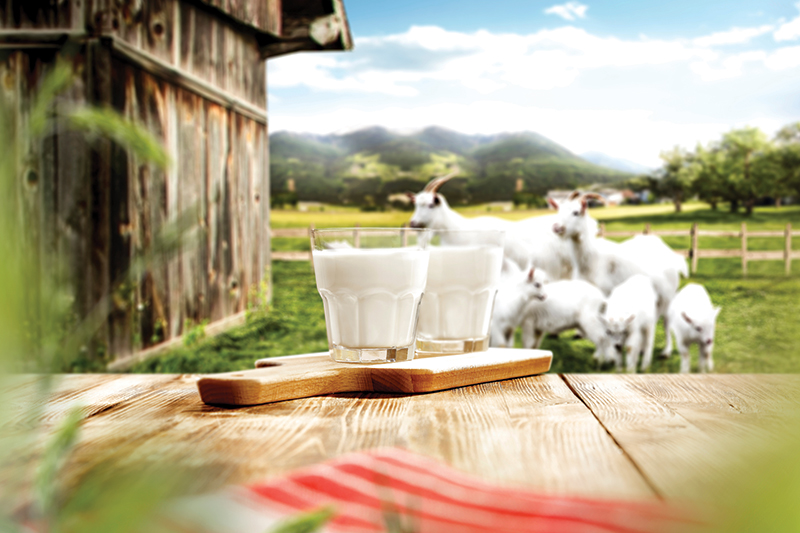 8 Incredible Benefits of Goat’s Milk