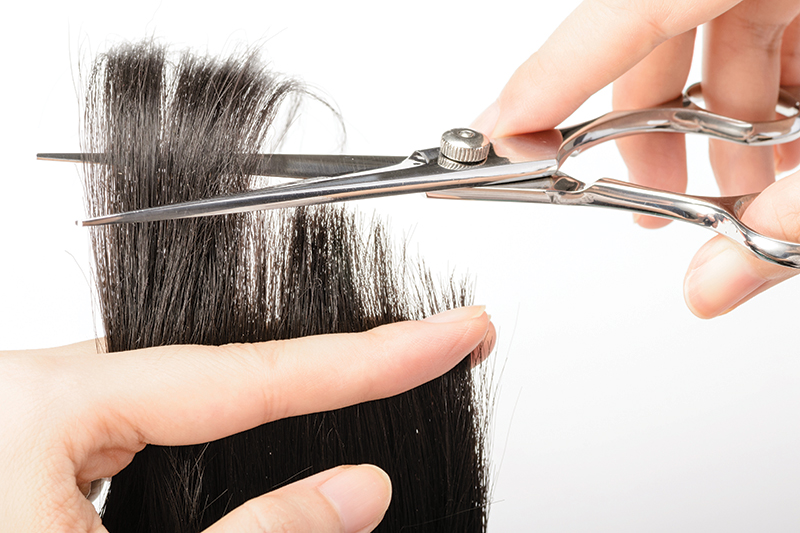 Can a Half Inch of Your Hair Really Tell You About Your Health?