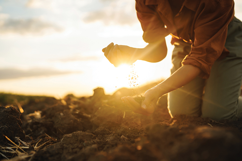 Blossom Where You’re Planted: Cultivating Abundance