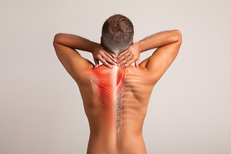 Are Contracted Muscles the Source of Your Pain?