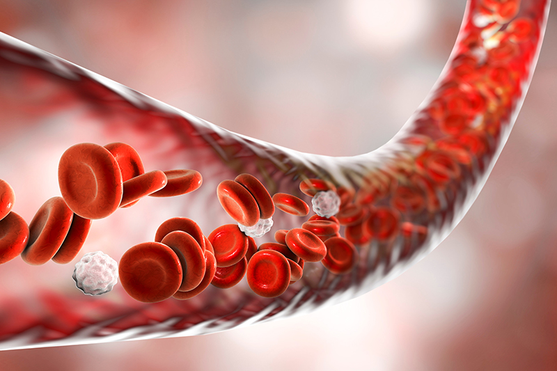 Could Your Blood Vessels Be Sending You a Warning?