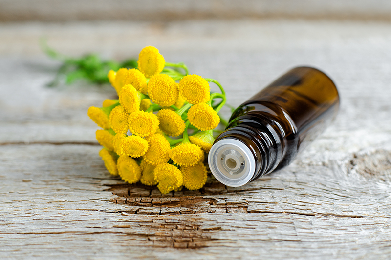 From Somaliland to Southwest Florida: The Hidden Supply Chain in Your Medicine Cabinet